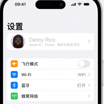 广宁appleID维修服务iPhone设置中Apple ID显示为灰色无法使用