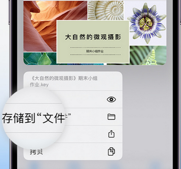 广宁apple维修中心分享iPhone文件应用中存储和找到下载文件