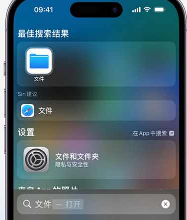 广宁apple维修中心分享iPhone文件应用中存储和找到下载文件 