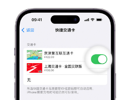 广宁apple维修点分享iPhone上更换Apple Pay快捷交通卡手绘卡面 