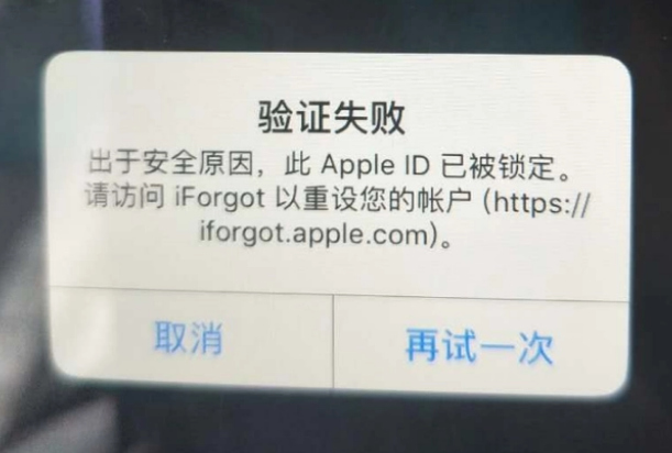 广宁iPhone维修分享iPhone上正常登录或使用AppleID怎么办 