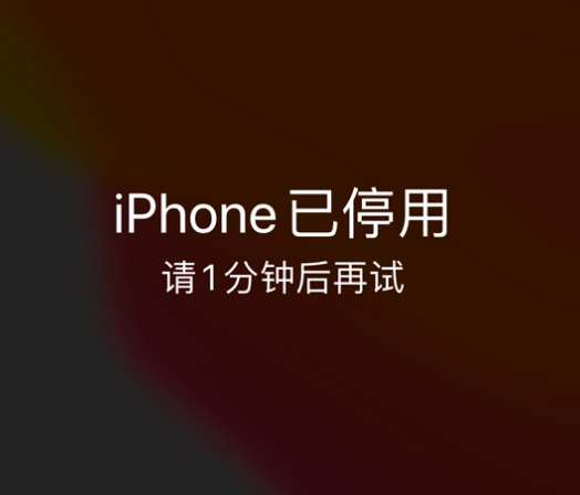 广宁苹果手机维修分享:iPhone 显示“不可用”或“已停用”怎么办？还能保留数据吗？ 