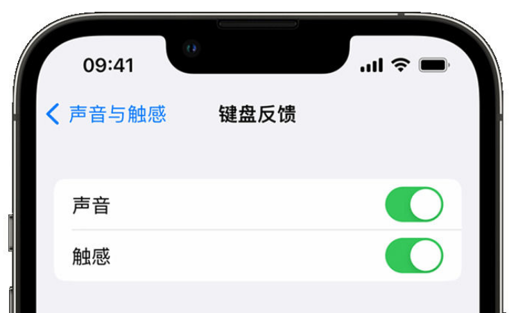 广宁苹果手机维修分享iPhone 14触感键盘使用方法 