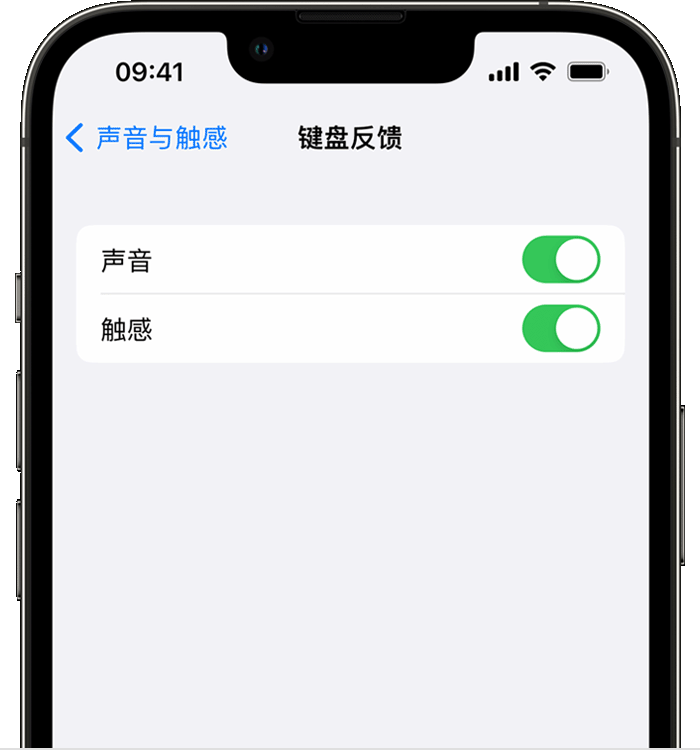 广宁苹果14维修店分享如何在 iPhone 14 机型中使用触感键盘 