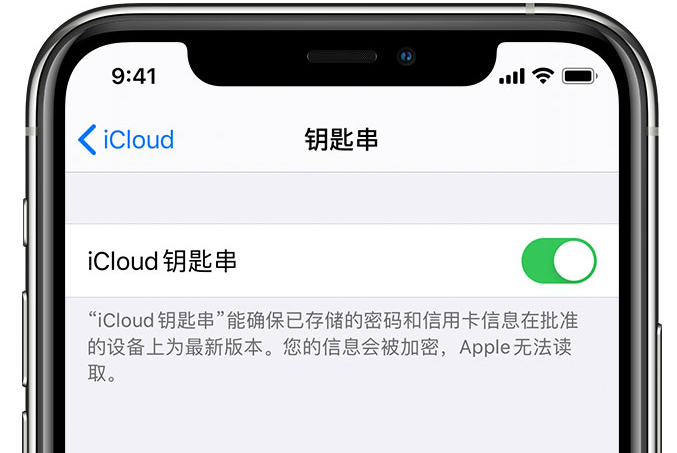 广宁苹果手机维修分享在 iPhone 上开启 iCloud 钥匙串之后会储存哪些信息 