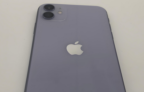 广宁苹果11系统维修分享iPhone11手机系统崩溃无法开机如何解决
